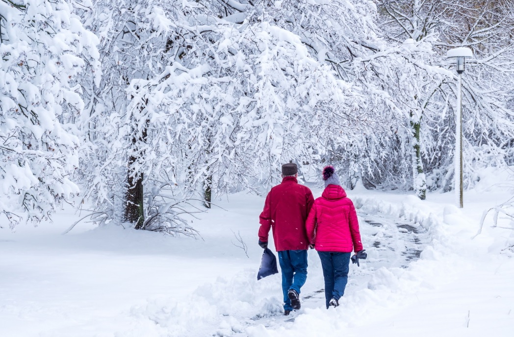 Relaxing winter walk in the park